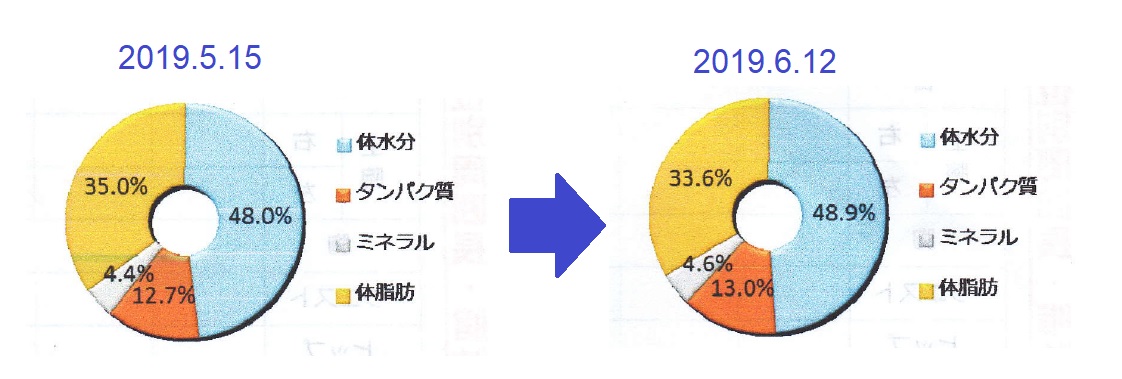 f:id:detox-advisor:20190614065311j:plain f:id:detox-advisor:20190614065311j:plain
