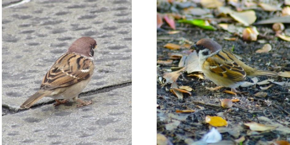 f:id:detox-advisor:20200208135223j:plain f:id:detox-advisor:20200208135223j:plain