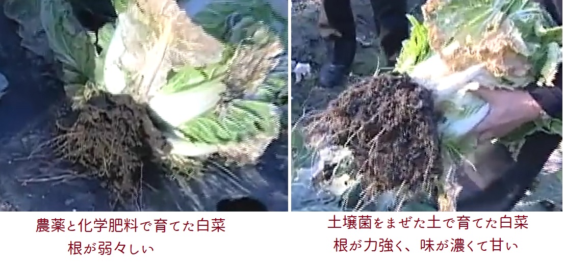 f:id:detox-advisor:20200726071720j:plain f:id:detox-advisor:20200726071720j:plain