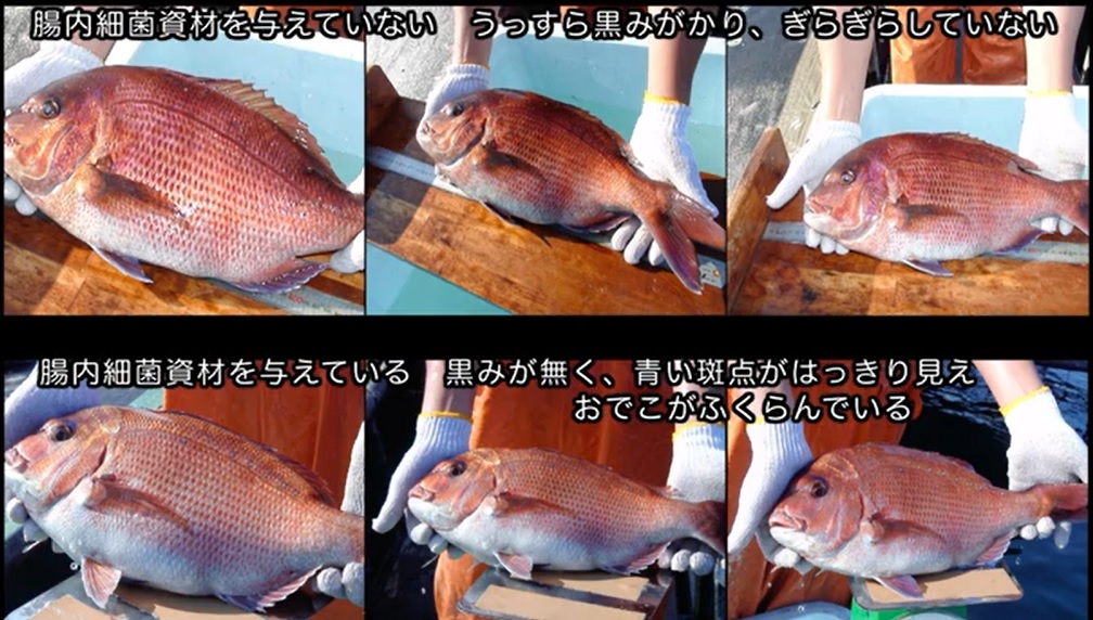 f:id:detox-advisor:20200726080941j:plain f:id:detox-advisor:20200726080941j:plain