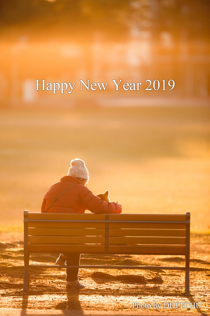 f:id:dettchu:20190106212526j:plain f:id:dettchu:20190106212526j:plain
