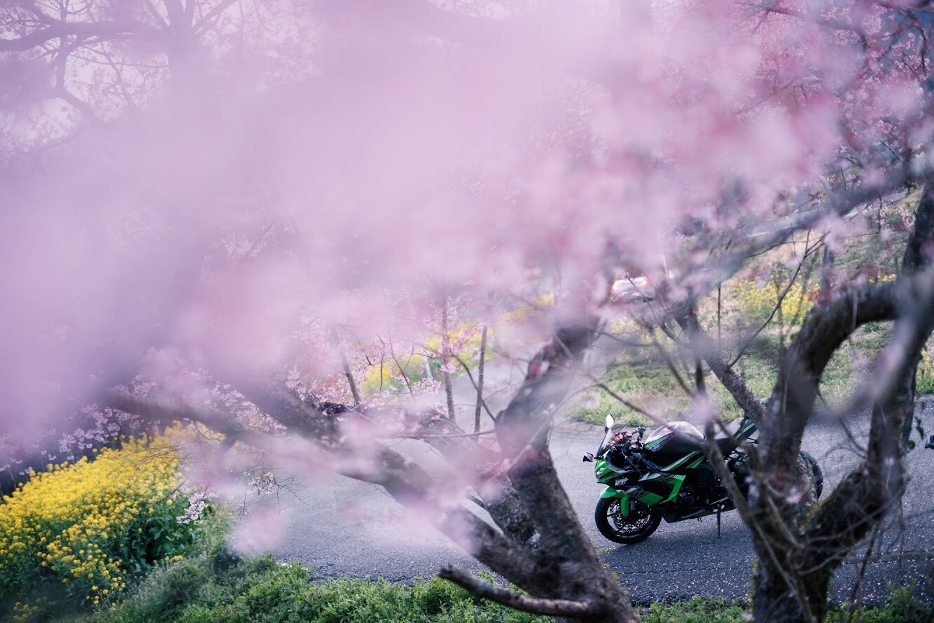f:id:dettchu:20191231115846j:image f:id:dettchu:20191231115846j:image