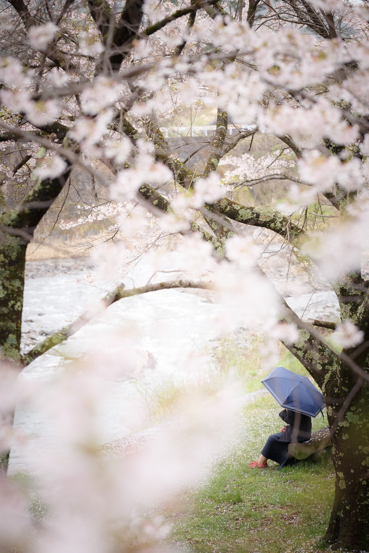 f:id:dettchu:20191231120450j:image f:id:dettchu:20191231120450j:image