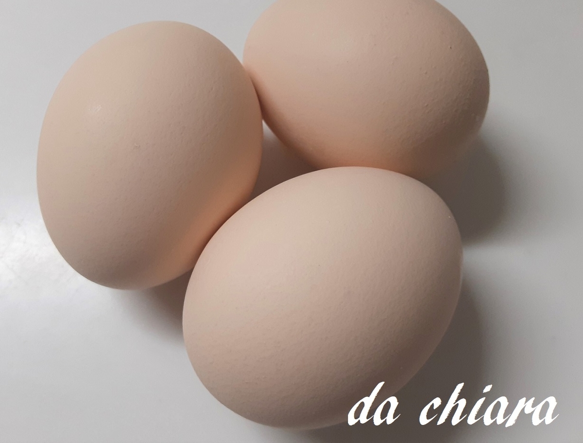 f:id:dettotranoi:20200213144325j:plain