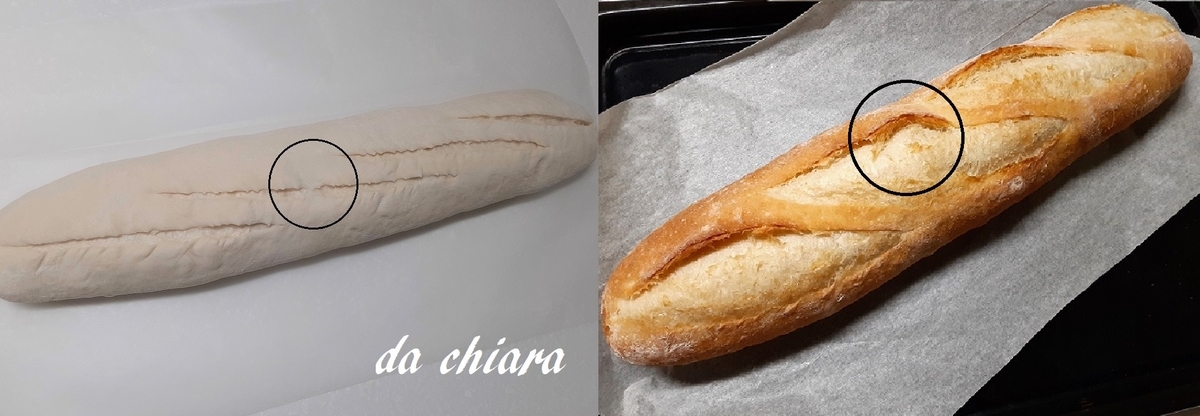 f:id:dettotranoi:20200713131947j:plain