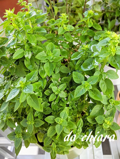 f:id:dettotranoi:20200822225458j:plain