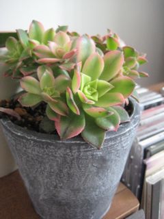 20110507152323