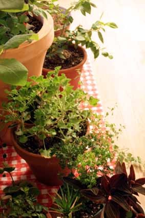 f:id:deux_2e:20091007175552j:image