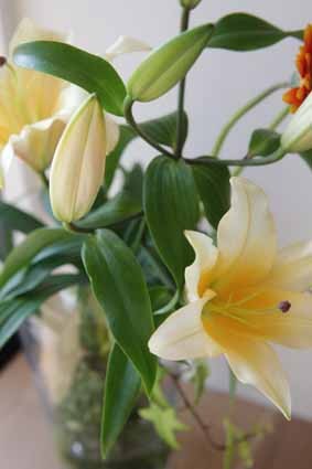 f:id:deux_2e:20091015144744j:image