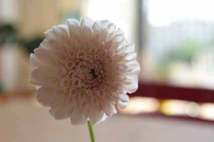 f:id:deux_2e:20091015144936j:image
