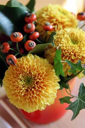 f:id:deux_2e:20091015145039j:image