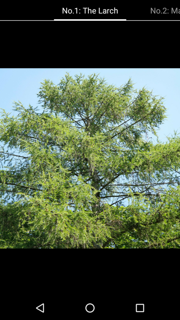 f:id:dev_suesan:20170307015456p:plain f:id:dev_suesan:20170307015456p:plain