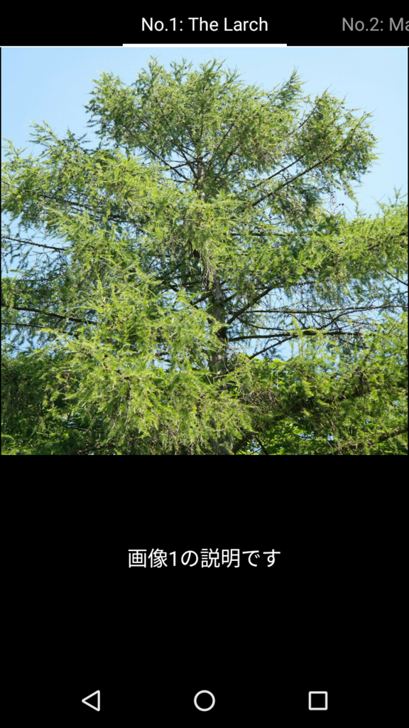 f:id:dev_suesan:20170307015522p:plain f:id:dev_suesan:20170307015522p:plain