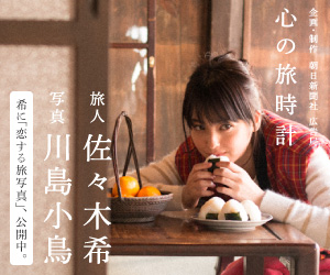 f:id:develog:20170113123836j:plain