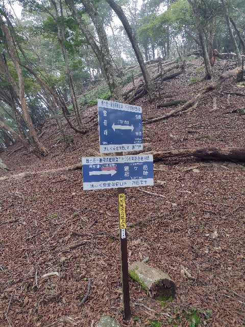 f:id:developingexplorer:20240104144533j:image