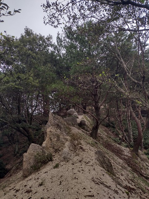 f:id:developingexplorer:20240104144911j:image