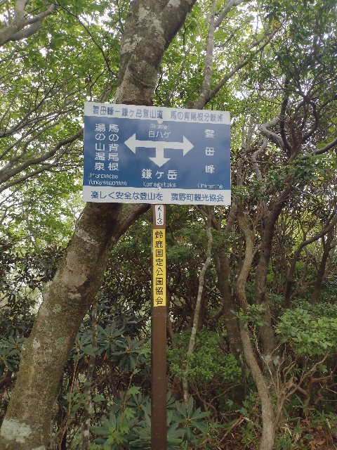 f:id:developingexplorer:20240104145011j:image