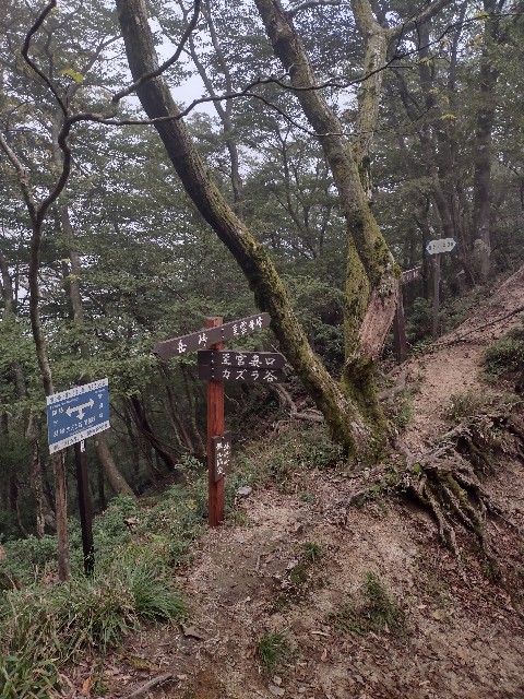 f:id:developingexplorer:20240104145200j:image