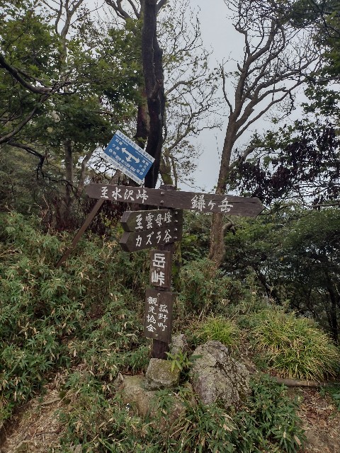 f:id:developingexplorer:20240104145224j:image