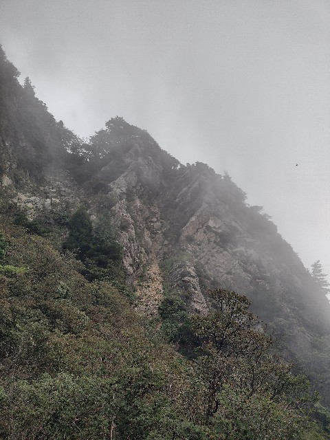 f:id:developingexplorer:20240104145832j:image