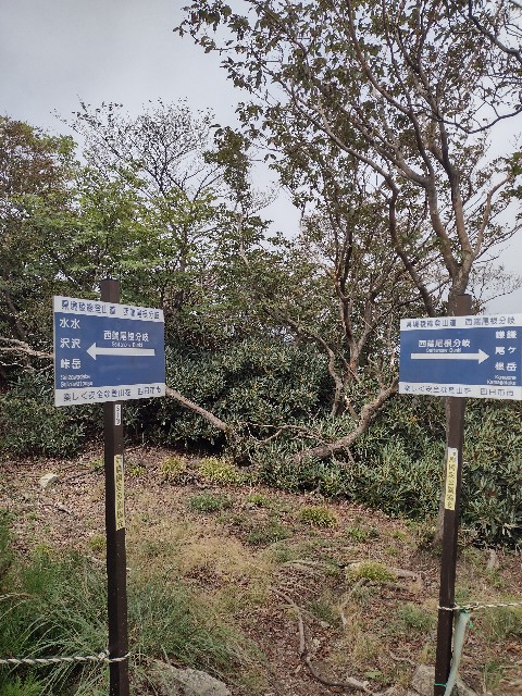 f:id:developingexplorer:20240104150944j:image