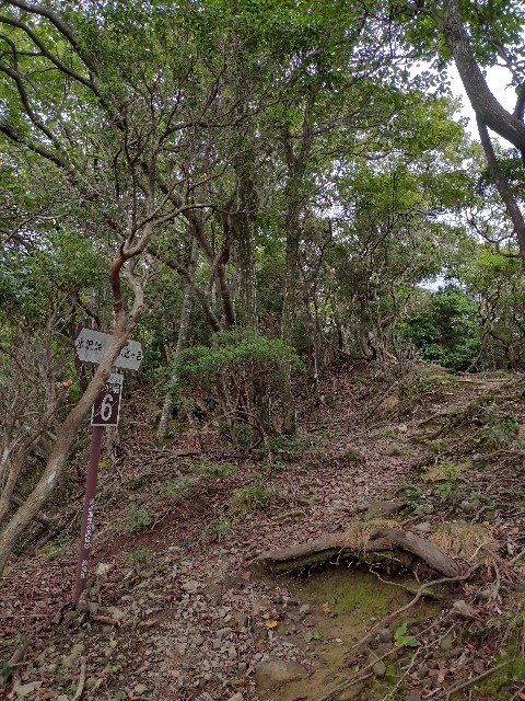 f:id:developingexplorer:20240104151904j:image