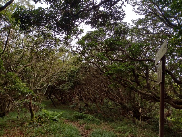 f:id:developingexplorer:20240104151925j:image