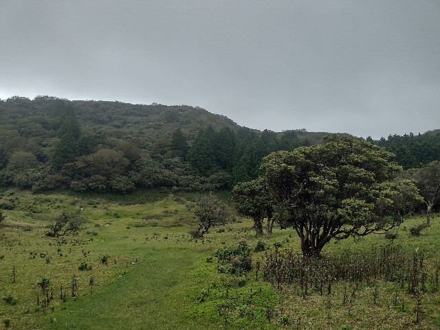 f:id:developingexplorer:20240104152124j:image