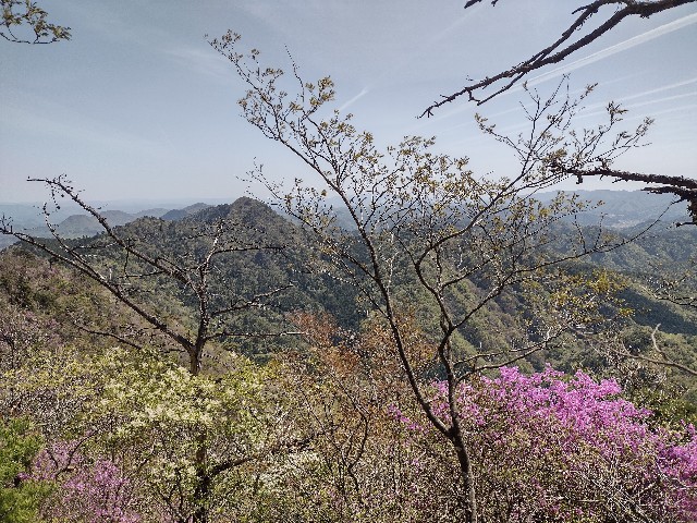 f:id:developingexplorer:20240105200010j:image