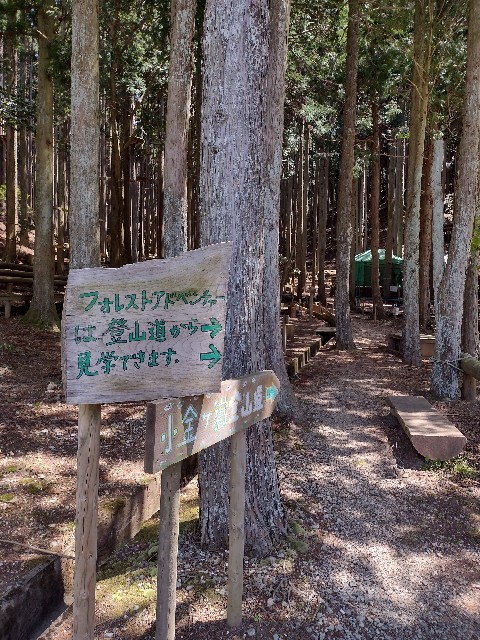 f:id:developingexplorer:20240105200533j:image