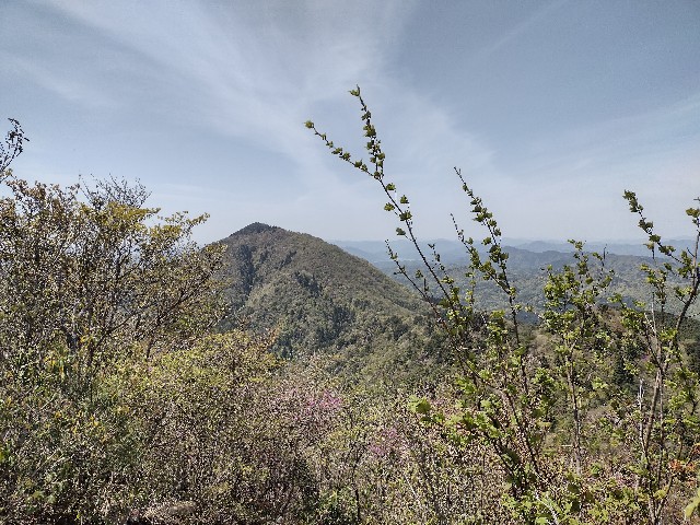 f:id:developingexplorer:20240105202739j:image
