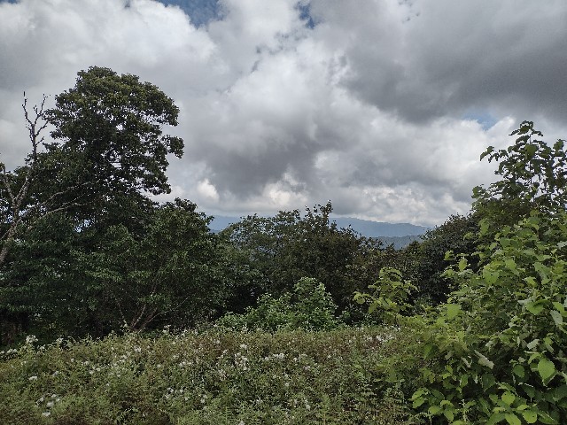f:id:developingexplorer:20240106183555j:image f:id:developingexplorer:20240106183555j:image