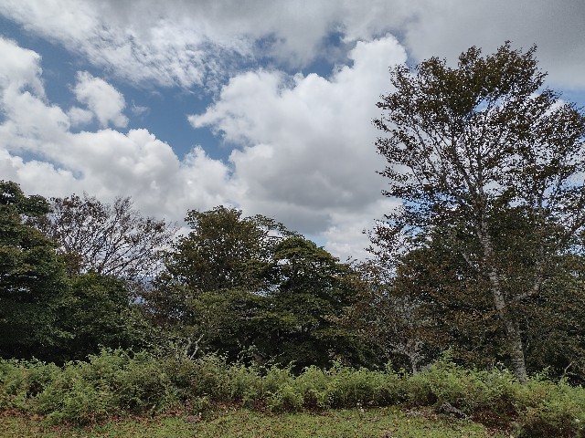 f:id:developingexplorer:20240106183628j:image f:id:developingexplorer:20240106183628j:image