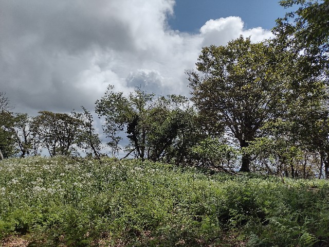 f:id:developingexplorer:20240106184759j:image f:id:developingexplorer:20240106184759j:image