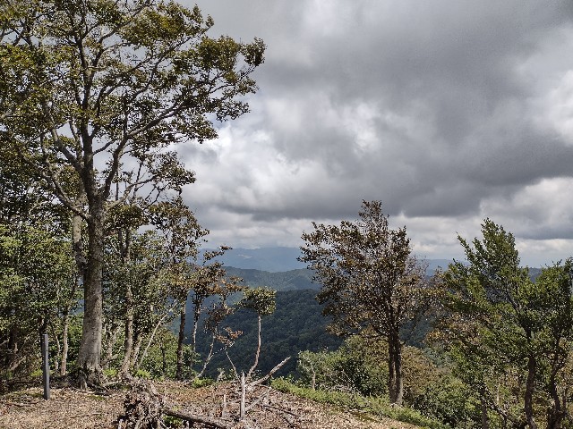 f:id:developingexplorer:20240106185050j:image f:id:developingexplorer:20240106185050j:image