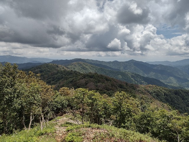 f:id:developingexplorer:20240106185323j:image f:id:developingexplorer:20240106185323j:image
