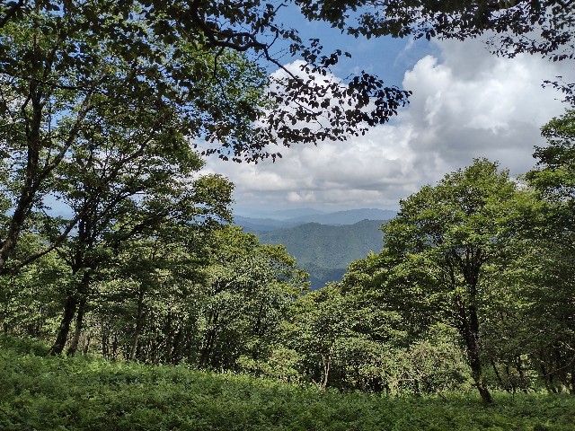 f:id:developingexplorer:20240106185610j:image f:id:developingexplorer:20240106185610j:image