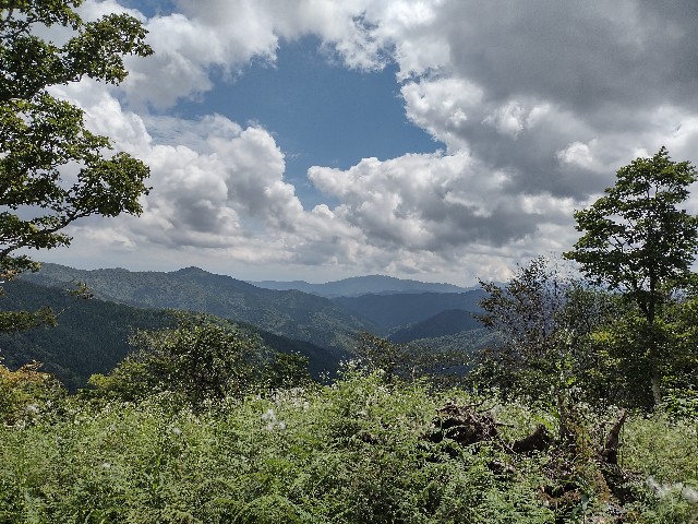 f:id:developingexplorer:20240106185638j:image f:id:developingexplorer:20240106185638j:image