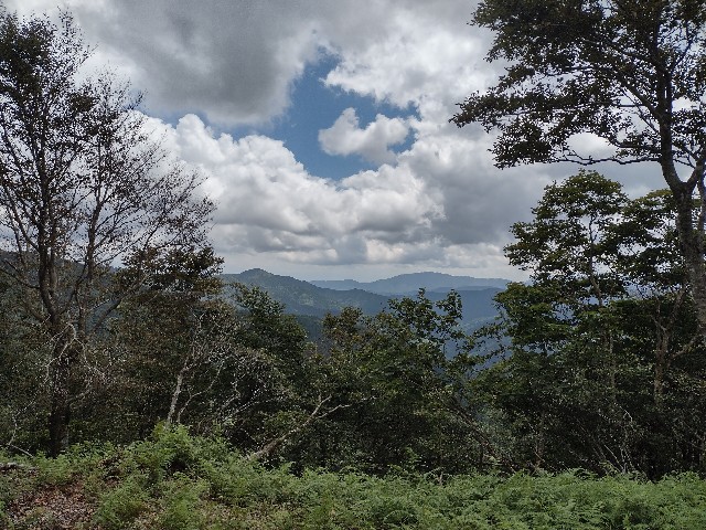 f:id:developingexplorer:20240106185801j:image f:id:developingexplorer:20240106185801j:image