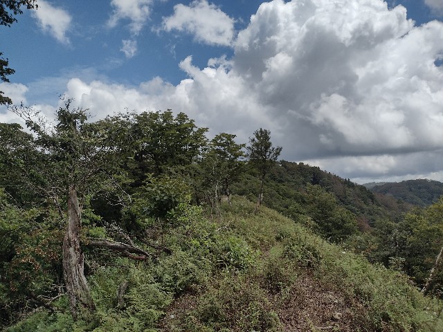 f:id:developingexplorer:20240106190045j:image f:id:developingexplorer:20240106190045j:image