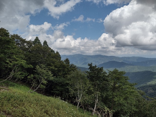 f:id:developingexplorer:20240106191226j:image f:id:developingexplorer:20240106191226j:image