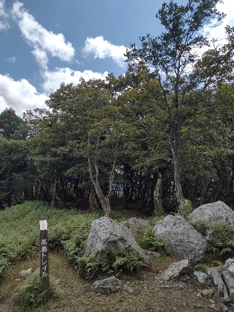 f:id:developingexplorer:20240106191308j:image f:id:developingexplorer:20240106191308j:image