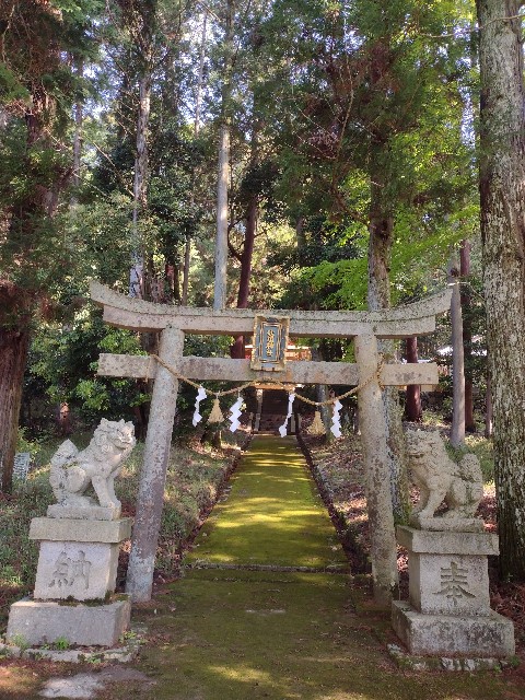 f:id:developingexplorer:20240108075842j:image