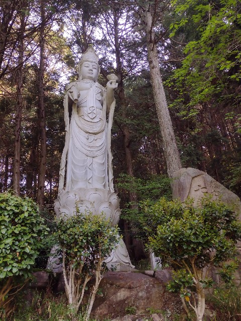 f:id:developingexplorer:20240108075930j:image