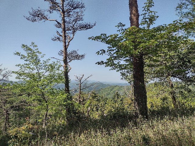 f:id:developingexplorer:20240108080850j:image