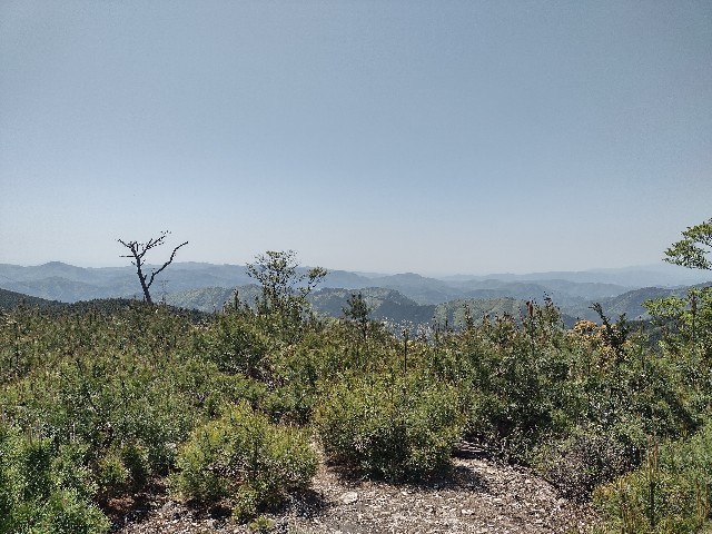 f:id:developingexplorer:20240108082245j:image