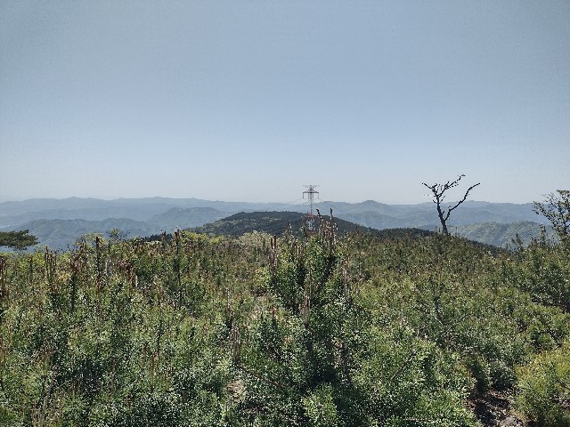f:id:developingexplorer:20240108082300j:image