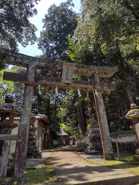 f:id:developingexplorer:20240108085143j:image