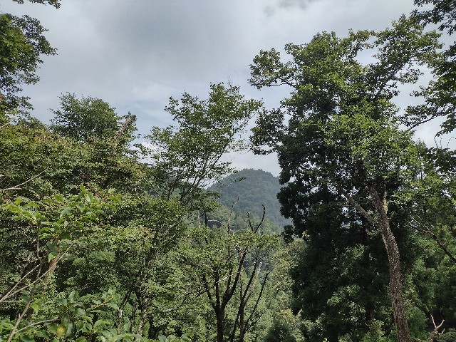 f:id:developingexplorer:20240108115546j:image f:id:developingexplorer:20240108115546j:image