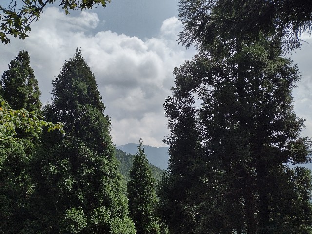 f:id:developingexplorer:20240108123123j:image f:id:developingexplorer:20240108123123j:image